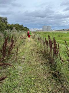 This path had just been cut when we walked along it - otherwise it would have been very heavy going